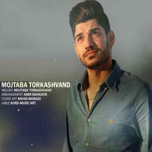 دانلود آهنگ دختر کرجی مجتبی ترکاشوند